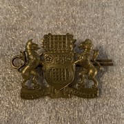 Cover image of Regimental Pin