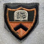Cover image of  Patch