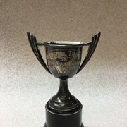 Cover image of Trophy Cup