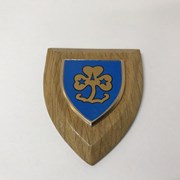Cover image of Membership; Girl Guides Plaque