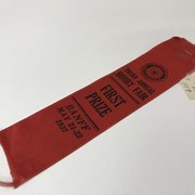 Cover image of Prize Ribbon