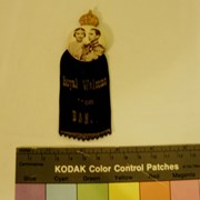 Cover image of Commemorative Pin