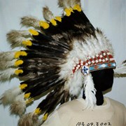 Cover image of War Bonnet Headdress