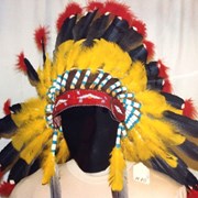 Cover image of War Bonnet Headdress