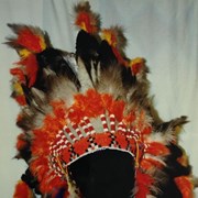 Cover image of War Bonnet Headdress