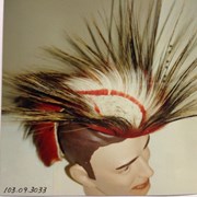 Cover image of Roach Headdress