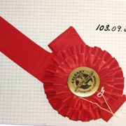 Cover image of Prize Ribbon