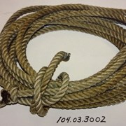 Cover image of  Rope