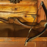 Cover image of  Crossbow