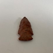 Cover image of Projectile Point