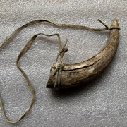 Cover image of Powder Horn