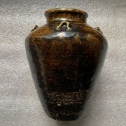 Cover image of Food Storage Jar