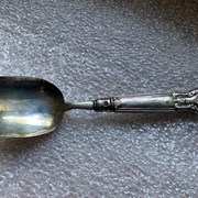 Cover image of Sugar Spoon
