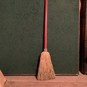 Cover image of  Broom