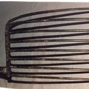 Cover image of Coal Fork