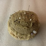 Cover image of  Pincushion