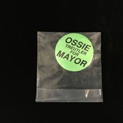 Cover image of Political Pin