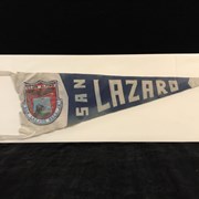 Cover image of Organization Pennant