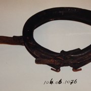 Cover image of Dog Collar