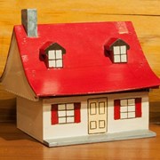 Cover image of Miniature House