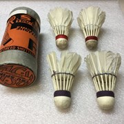 Cover image of Badminton Shuttlecocks
