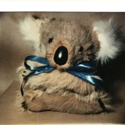 Cover image of Stuffed Toy, Animal