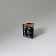 Cover image of Miniature Book