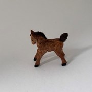 Cover image of Miniature Horse