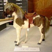 Cover image of Saddle Accessory, Doll