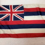 Cover image of  Flag