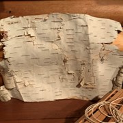 Cover image of Betula Papyrifera Bark