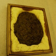 Cover image of Buffalo Dung