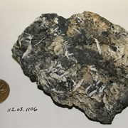 Cover image of Calcite; Galena; Sphalerite; Limonite; Pyrite Mineral