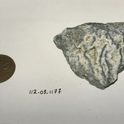 Cover image of Metamorphic Rock