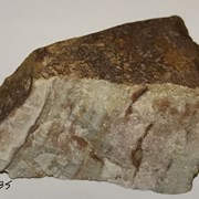 Cover image of Metamorphic Rock