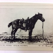 Cover image of Untitled [Saddle horse]