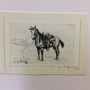 Cover image of Untitled [Saddle horse in snow]
