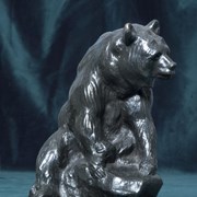 Cover image of Grizzly Bear