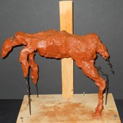 Cover image of Untitled (horse)