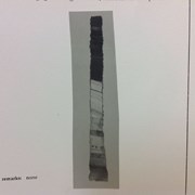 Cover image of Exceptional Pass - Stratigraphic column