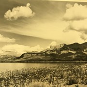 Cover image of Roche Miette, Jasper Lake