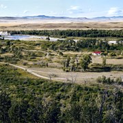 Cover image of Homesteads #39, Alberta Foothills