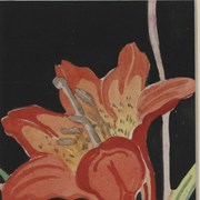 Cover image of Wood Lily