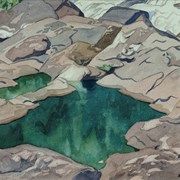 Cover image of Rock Pools, York River