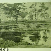 Cover image of Park and Pond