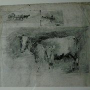 Cover image of Cow and Calf