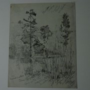 Cover image of Brush and Trees