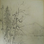 Cover image of Tree in Mountains