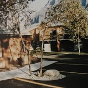 Cover image of Condos at Douglas Fir Resort