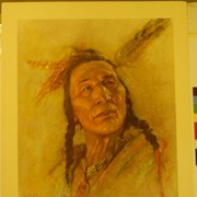 Cover image of Blackfoot Brave